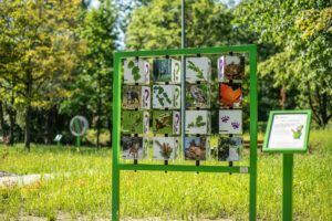 Manufacturer of interactive and sensory playground